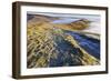 Fog and Frost-Eleanor-Framed Photographic Print