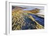 Fog and Frost-Eleanor-Framed Photographic Print