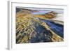 Fog and Frost-Eleanor-Framed Photographic Print