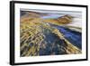 Fog and Frost-Eleanor-Framed Photographic Print