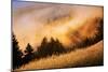 Fog and Light Collision Mount Tamalpais, Marin County, San Francisco-Vincent James-Mounted Photographic Print