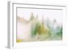 Fog and Light Design, Mount Tamalpais, Northern California-Vincent James-Framed Premium Photographic Print