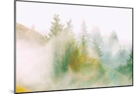 Fog and Light Design, Mount Tamalpais, Northern California-Vincent James-Mounted Premium Photographic Print