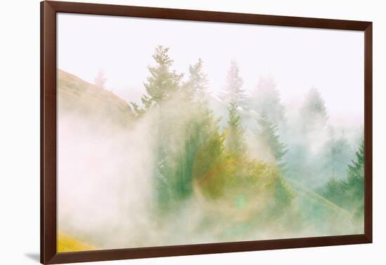 Fog and Light Design, Mount Tamalpais, Northern California-Vincent James-Framed Photographic Print