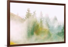 Fog and Light Design, Mount Tamalpais, Northern California-Vincent James-Framed Photographic Print