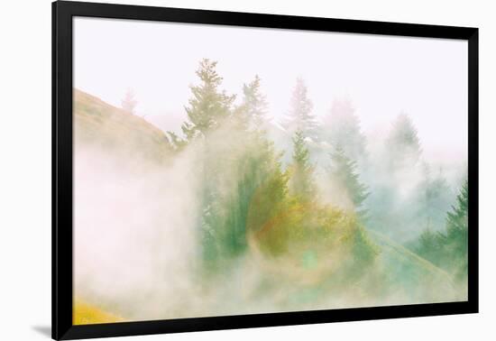 Fog and Light Design, Mount Tamalpais, Northern California-Vincent James-Framed Photographic Print