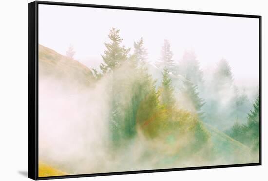 Fog and Light Design, Mount Tamalpais, Northern California-Vincent James-Framed Stretched Canvas