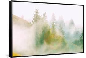 Fog and Light Design, Mount Tamalpais, Northern California-Vincent James-Framed Stretched Canvas