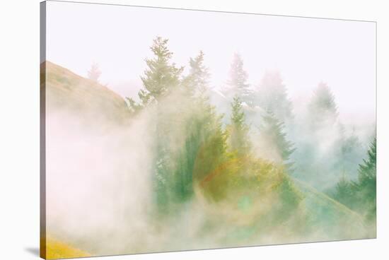 Fog and Light Design, Mount Tamalpais, Northern California-Vincent James-Stretched Canvas
