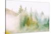 Fog and Light Design, Mount Tamalpais, Northern California-Vincent James-Stretched Canvas