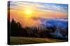 Fog and Light Mix Hills of Mount Tam California-Vincent James-Stretched Canvas