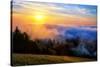 Fog and Light Mix Hills of Mount Tam California-Vincent James-Stretched Canvas