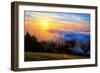 Fog and Light Mix Hills of Mount Tam California-Vincent James-Framed Photographic Print