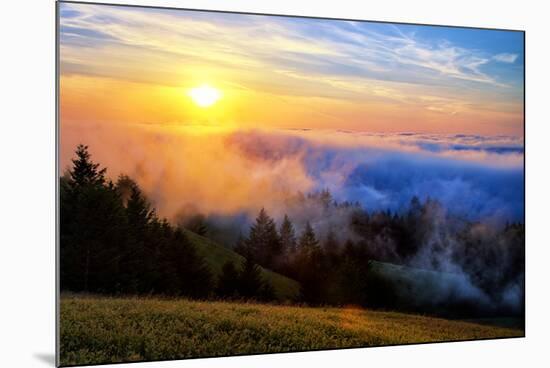 Fog and Light Mix Hills of Mount Tam California-Vincent James-Mounted Photographic Print