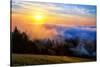 Fog and Light Mix Hills of Mount Tam California-Vincent James-Stretched Canvas