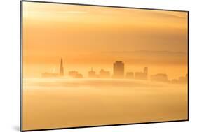 Fog and Mist Storm, Fog and Golden Light, Downtown San Francisco, Cityscape, Urban View-Vincent James-Mounted Photographic Print