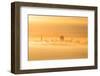 Fog and Mist Storm, Fog and Golden Light, Downtown San Francisco, Cityscape, Urban View-Vincent James-Framed Photographic Print