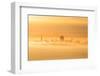 Fog and Mist Storm, Fog and Golden Light, Downtown San Francisco, Cityscape, Urban View-Vincent James-Framed Photographic Print