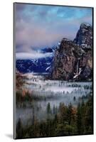 Fog and Mood Within Yosemite Valley, Bridallveil Falls-Vincent James-Mounted Photographic Print