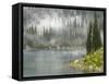 Fog and Rain on Lake Eva, Revelstoke National Park, British Columbia, Canada-Don Paulson-Framed Stretched Canvas