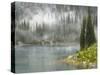 Fog and Rain on Lake Eva, Revelstoke National Park, British Columbia, Canada-Don Paulson-Stretched Canvas