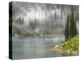 Fog and Rain on Lake Eva, Revelstoke National Park, British Columbia, Canada-Don Paulson-Stretched Canvas