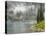 Fog and Rain on Lake Eva, Revelstoke National Park, British Columbia, Canada-Don Paulson-Stretched Canvas