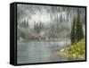 Fog and Rain on Lake Eva, Revelstoke National Park, British Columbia, Canada-Don Paulson-Framed Stretched Canvas