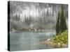 Fog and Rain on Lake Eva, Revelstoke National Park, British Columbia, Canada-Don Paulson-Stretched Canvas