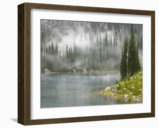 Fog and Rain on Lake Eva, Revelstoke National Park, British Columbia, Canada-Don Paulson-Framed Photographic Print