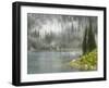 Fog and Rain on Lake Eva, Revelstoke National Park, British Columbia, Canada-Don Paulson-Framed Photographic Print