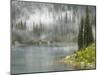 Fog and Rain on Lake Eva, Revelstoke National Park, British Columbia, Canada-Don Paulson-Mounted Photographic Print