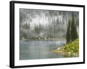 Fog and Rain on Lake Eva, Revelstoke National Park, British Columbia, Canada-Don Paulson-Framed Photographic Print