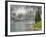 Fog and Rain on Lake Eva, Revelstoke National Park, British Columbia, Canada-Don Paulson-Framed Photographic Print