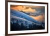 Fog and Sun Mix, Marin, Northern Califiornia-Vincent James-Framed Photographic Print