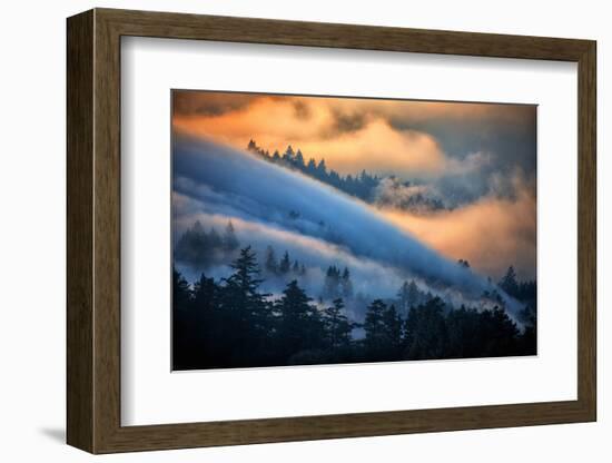 Fog and Sun Mix, Marin, Northern Califiornia-Vincent James-Framed Photographic Print