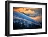 Fog and Sun Mix, Marin, Northern Califiornia-Vincent James-Framed Photographic Print