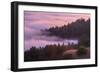 Fog and Tree Design at Sunset, Mount Tamalpais-Vincent James-Framed Photographic Print