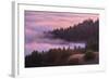 Fog and Tree Design at Sunset, Mount Tamalpais-Vincent James-Framed Photographic Print