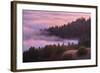 Fog and Tree Design at Sunset, Mount Tamalpais-Vincent James-Framed Photographic Print