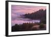 Fog and Tree Design at Sunset, Mount Tamalpais-Vincent James-Framed Photographic Print