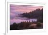 Fog and Tree Design at Sunset, Mount Tamalpais-Vincent James-Framed Photographic Print