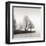 Fog and Trees at Dusk-Lsh-Framed Giclee Print