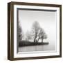 Fog and Trees at Dusk-Lsh-Framed Giclee Print