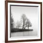 Fog and Trees at Dusk-Lsh-Framed Giclee Print