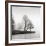 Fog and Trees at Dusk-Lsh-Framed Giclee Print