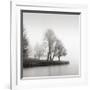 Fog and Trees at Dusk-Lsh-Framed Giclee Print