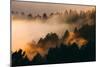 Fog and Trees Darkness and Light Marin San Francisco-Vincent James-Mounted Photographic Print