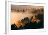 Fog and Trees Darkness and Light Marin San Francisco-Vincent James-Framed Photographic Print