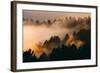 Fog and Trees Darkness and Light Marin San Francisco-Vincent James-Framed Photographic Print